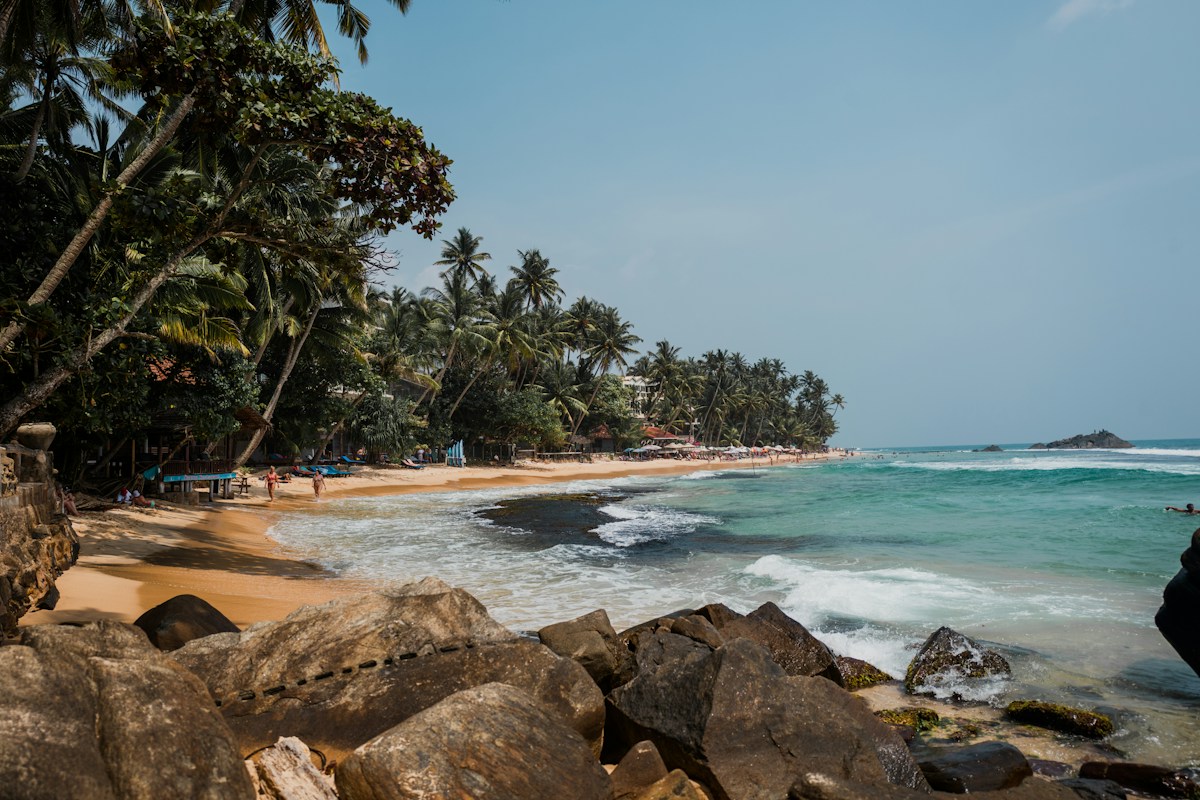 Palm-lined beach on Sri Lanka's southern coast
